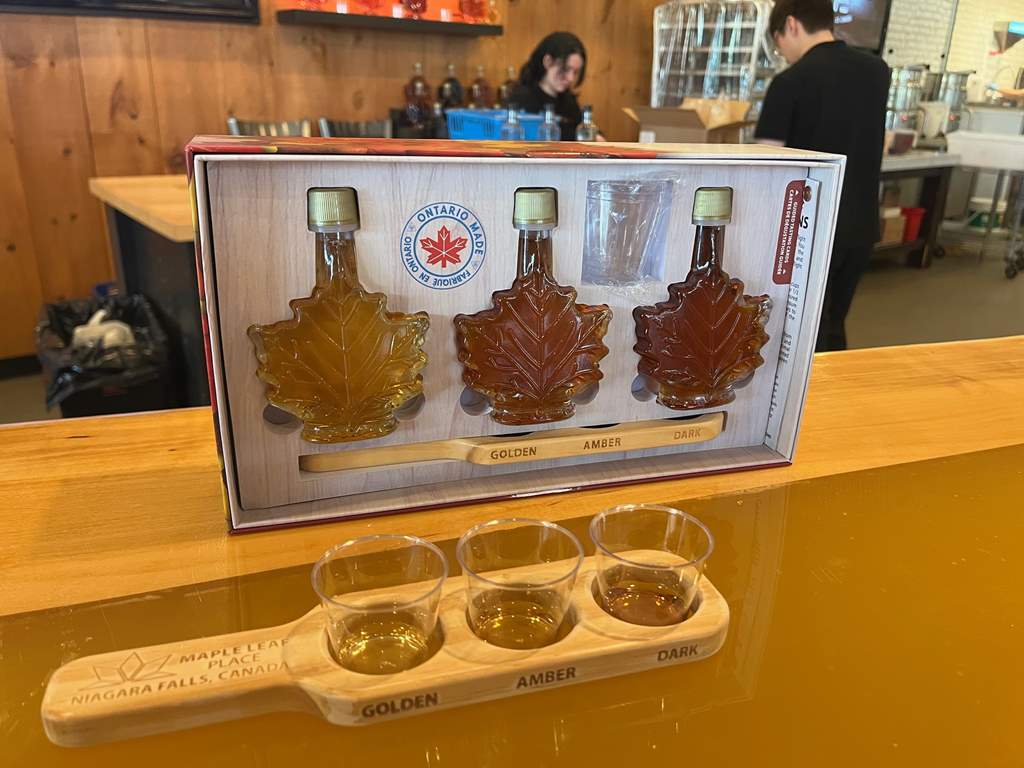 メイプルシロップ試飲